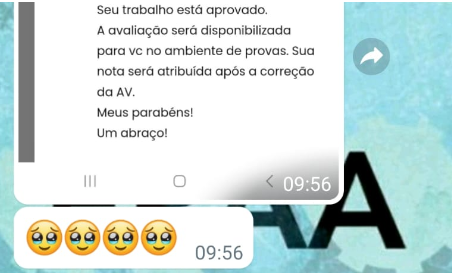 Mensagem de aprovação recebida por aluno atendido